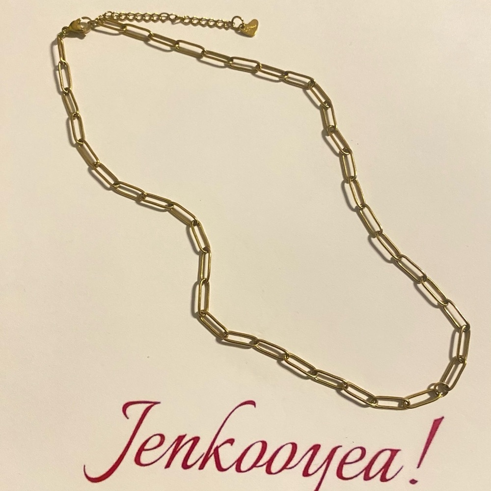 Gold plated titanium hypoallergenic and water resistant paper clip Link Necklace